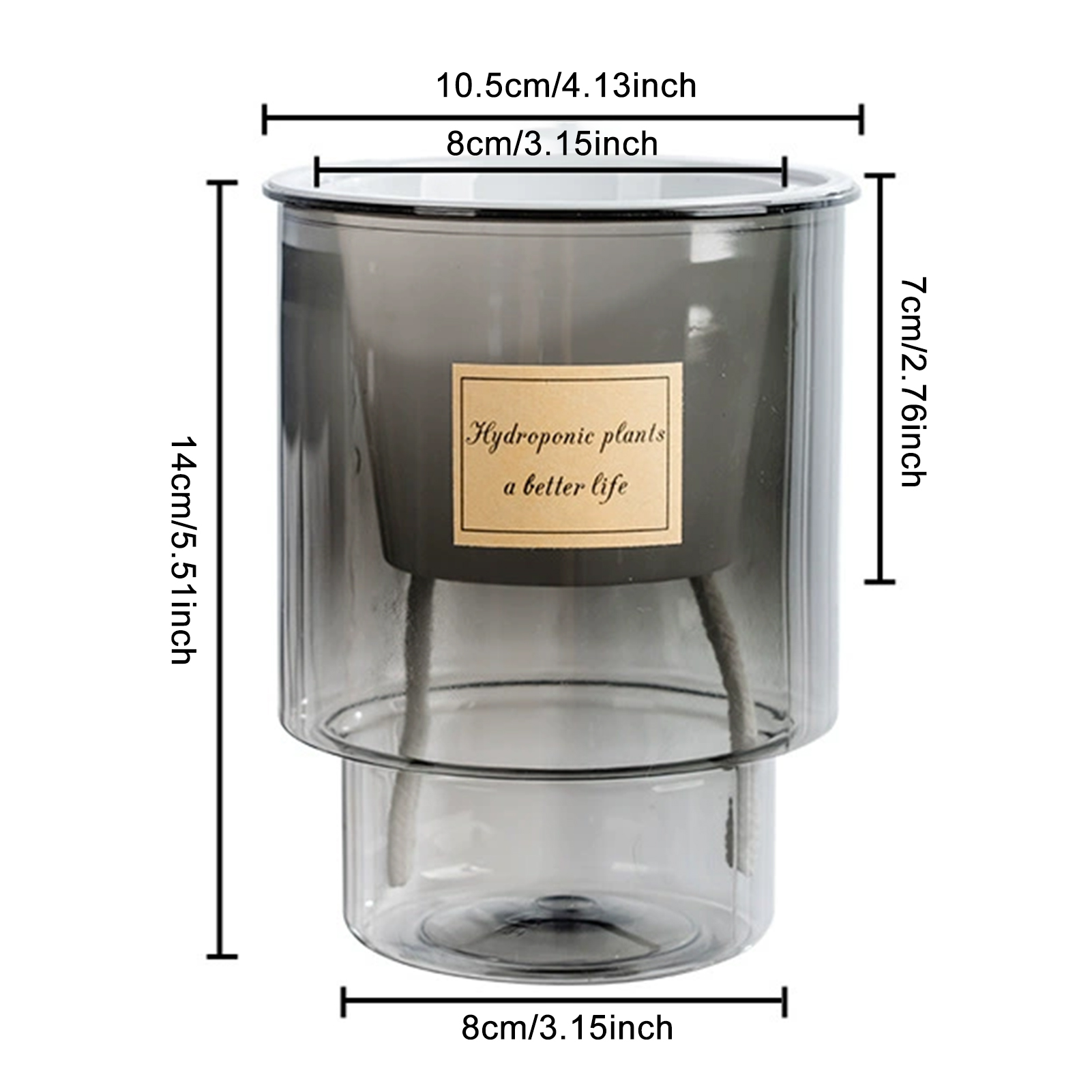 Vaso Transparente com Absorção - Echeveria Succulent avaliação e preço