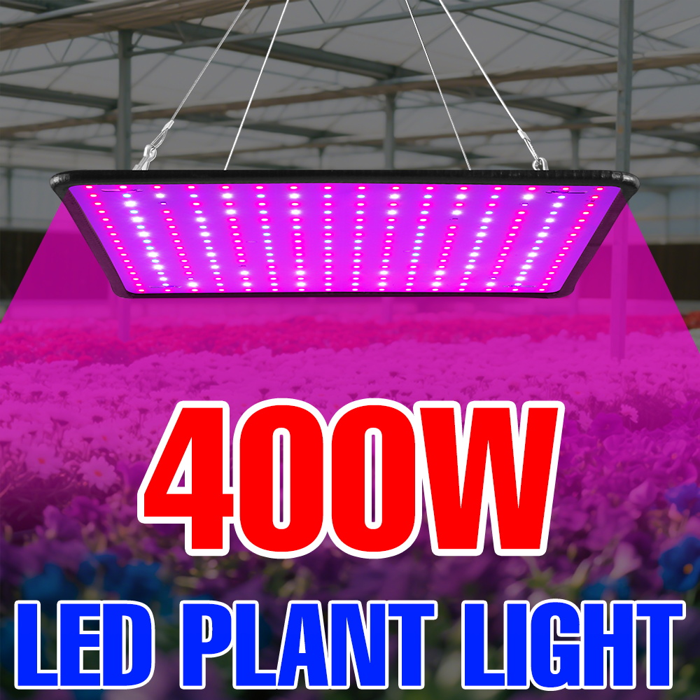 400w led cresce a luz espectro - Echeveria Succulent avaliação e preço