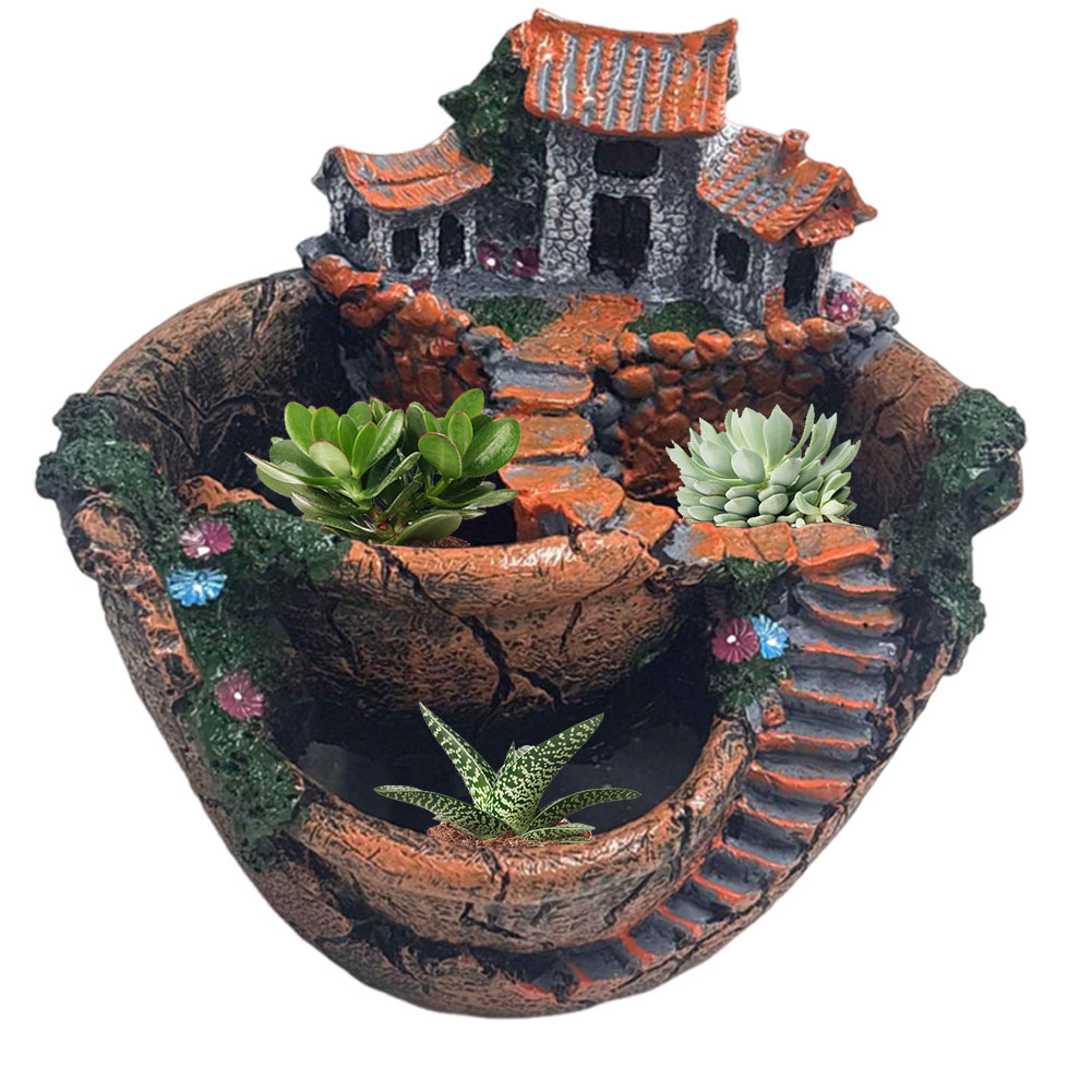 Vaso Decorativo Vintage para S - Echeveria Succulent avaliação e preço