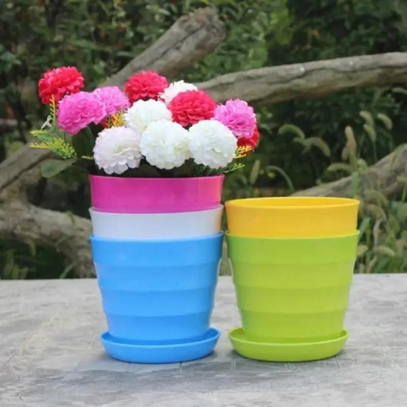 1 pçs vaso de flores de plásti - Echeveria Succulent avaliação e preço