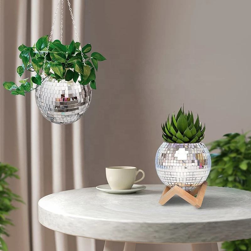 Cesto de Plantas Suspenso em F - Echeveria Succulent avaliação e preço