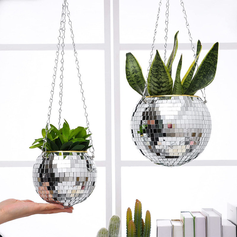 Cesto de Plantas Suspenso em F - Echeveria Succulent avaliação e preço